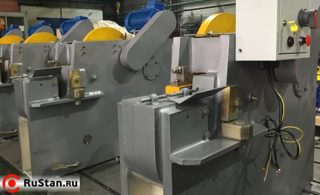 Сортовые ножницы Н1229 фото №3 Сортовые ножницы Н1229 фото №3